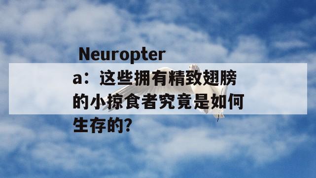  Neuroptera：这些拥有精致翅膀的小掠食者究竟是如何生存的？