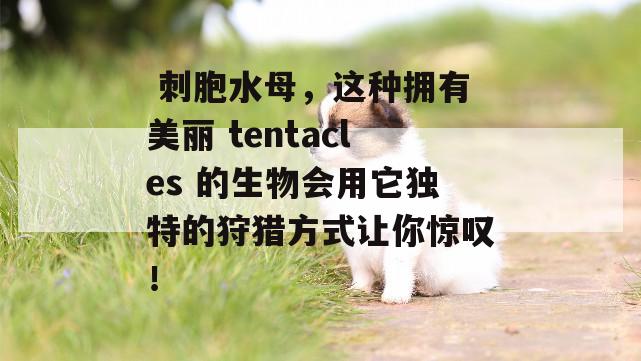  刺胞水母，这种拥有美丽 tentacles 的生物会用它独特的狩猎方式让你惊叹！